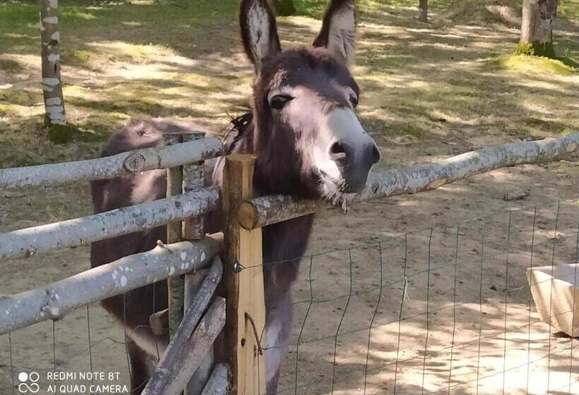 ベッドアンドブレックファースト Le Camp Du Fauconnier