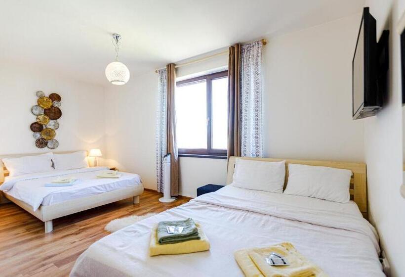 ペンション Gasthaus Sacalaz