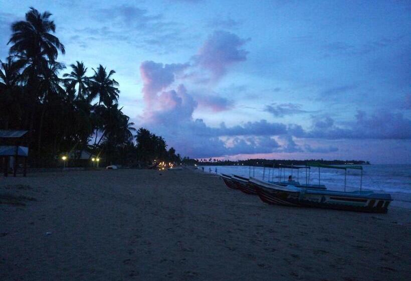 Pension Akki S Hostel