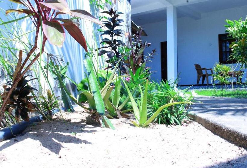 Pension Akki S Hostel