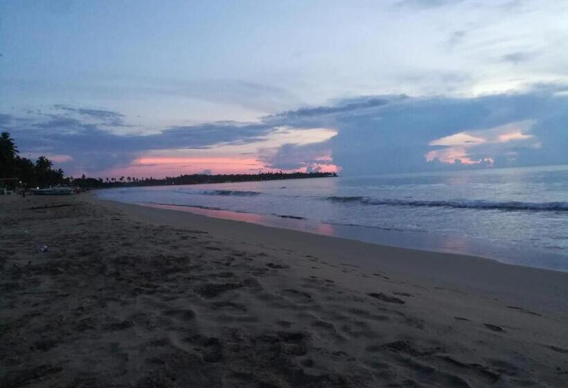 Pension Akki S Hostel