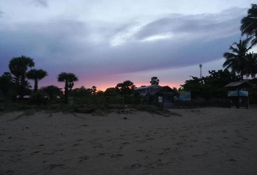 Pension Akki S Hostel