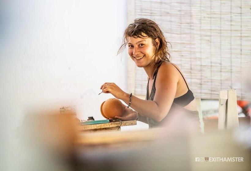 Pension Akki S Hostel