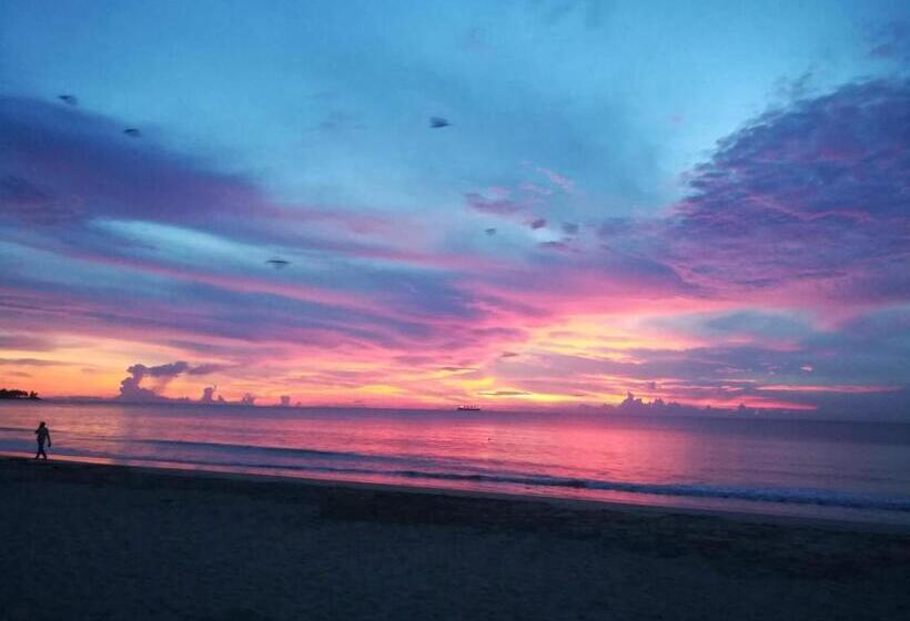 Pension Akki S Hostel