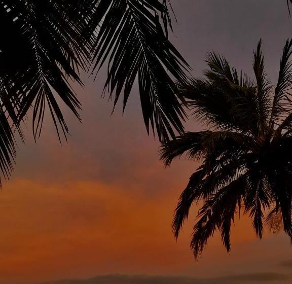 Pension Akki S Hostel