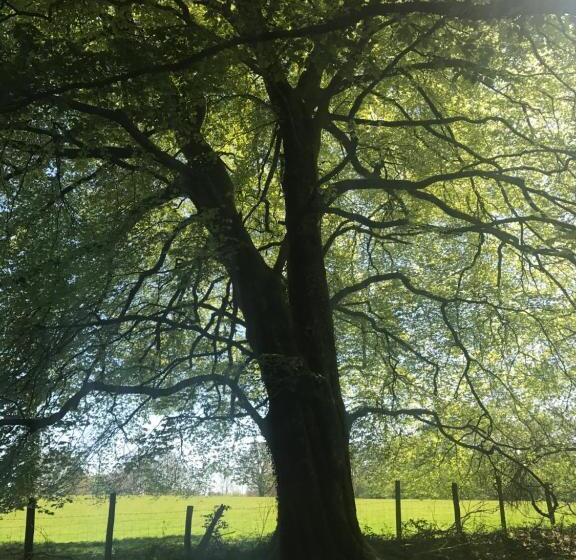 住宿加早餐 Henllys Estate B And B