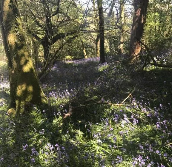 Aamiaismajoitus (B&B) Henllys Estate B And B