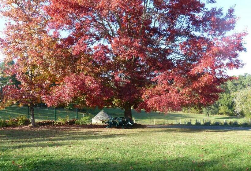 ベッドアンドブレックファースト L Orée Du Bois