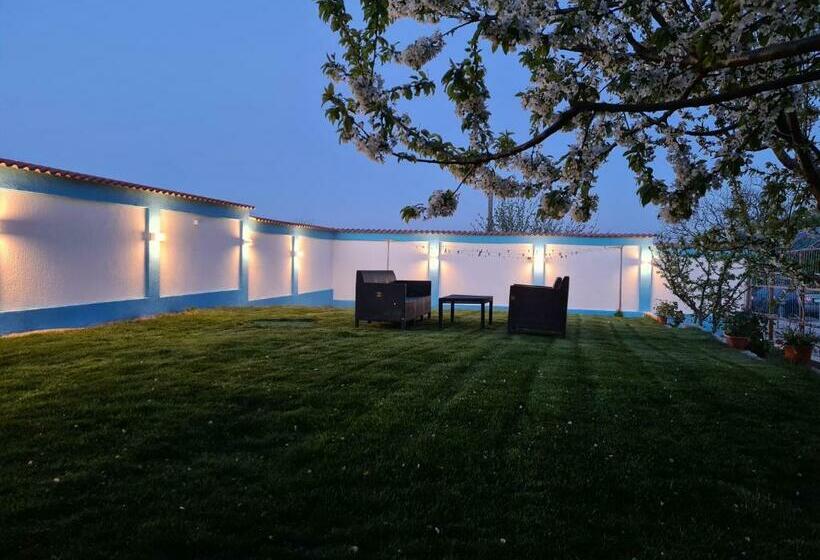 膳宿费 Casa Matei