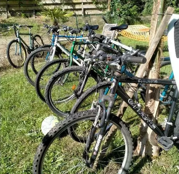 ユースホステル Shifting Sands Surf Camp