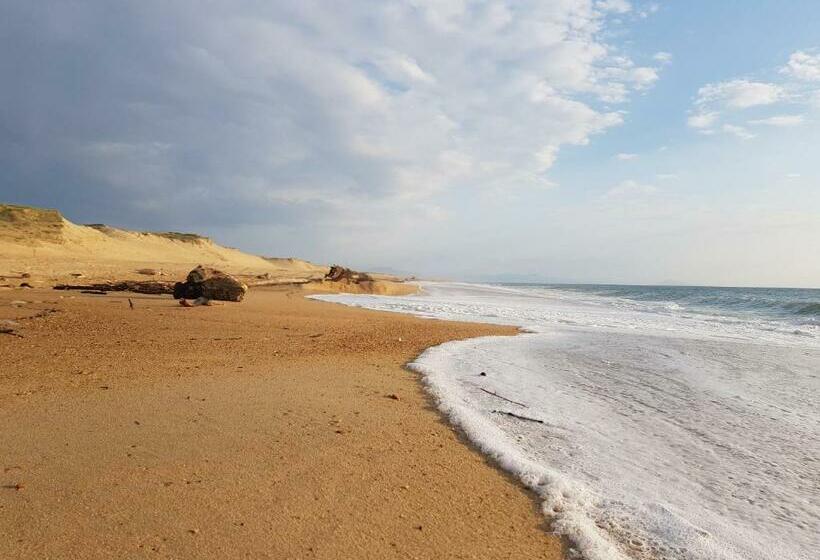 فندق صغير Shifting Sands Surf Camp