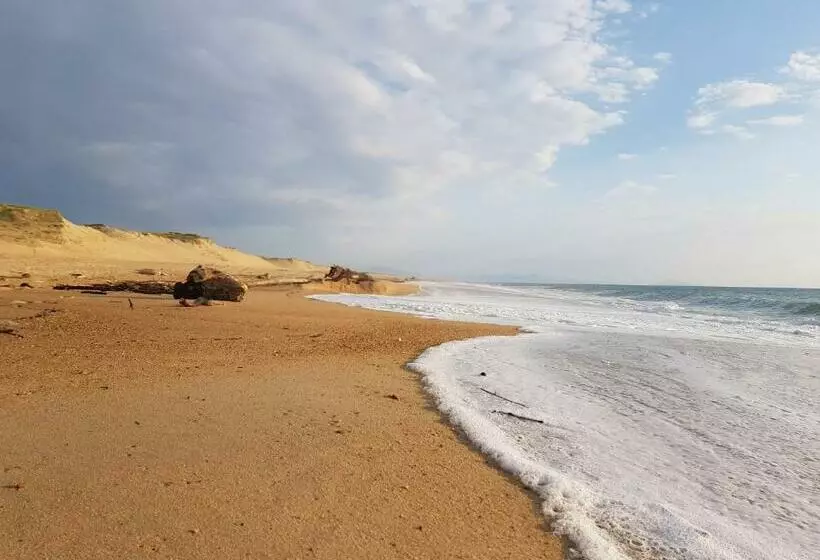 ユースホステル Shifting Sands Surf Camp