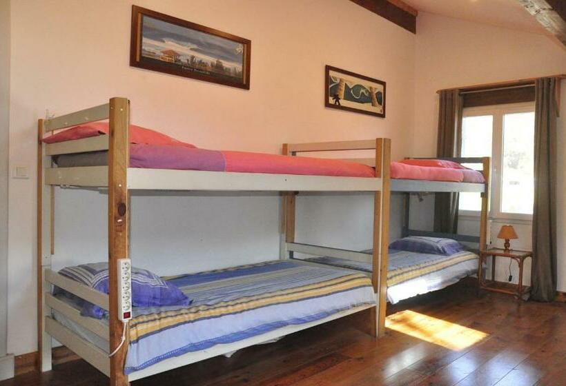 فندق صغير Shifting Sands Surf Camp