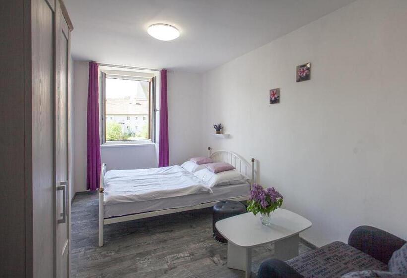 פנסיון Ubytování Rožmberk Nad Vltavou 18