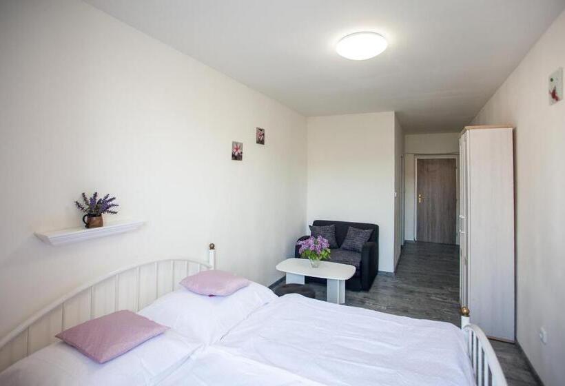 פנסיון Ubytování Rožmberk Nad Vltavou 18