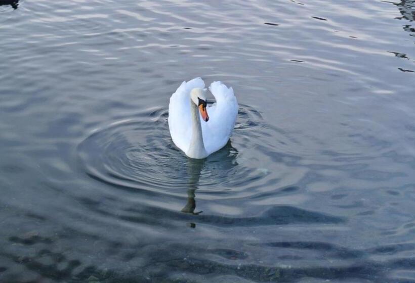 B&b Dolce Vista Al Lago Lugano