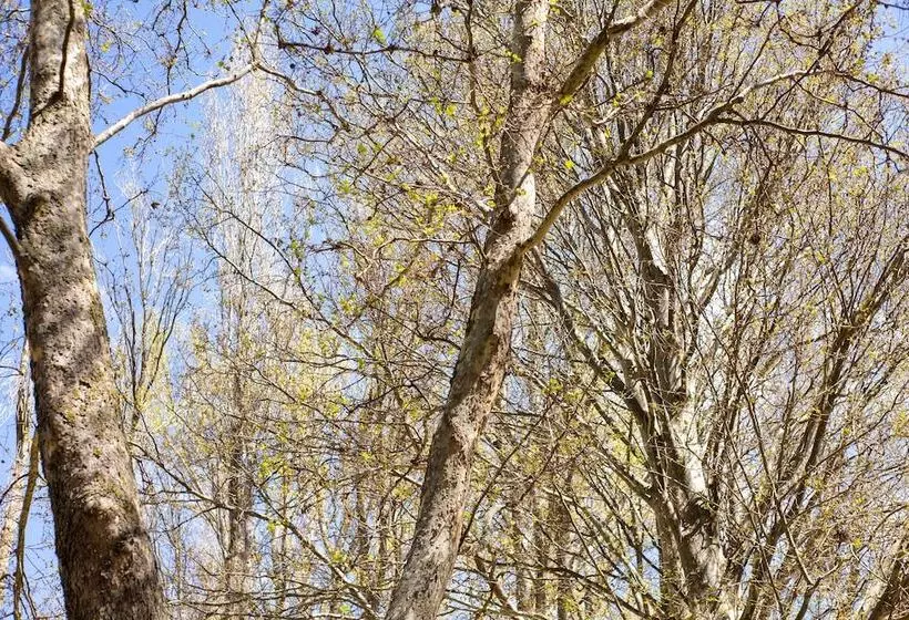 Hotelli Rural El Castillejo