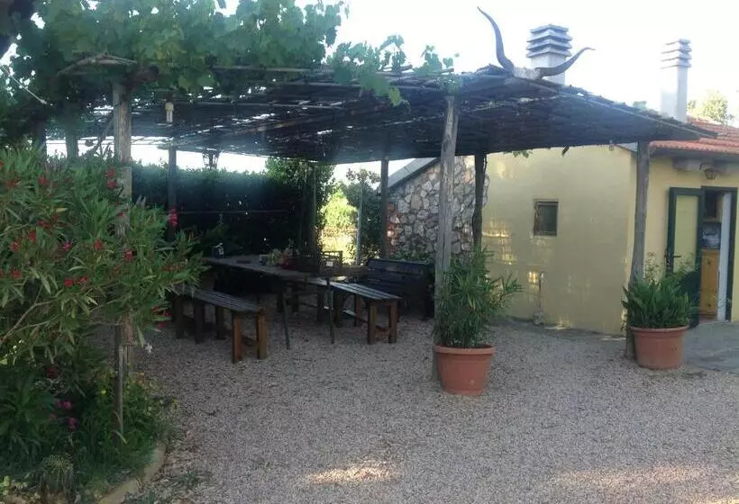 هتل Villa Trieste