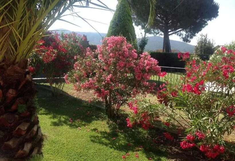 هتل Villa Trieste