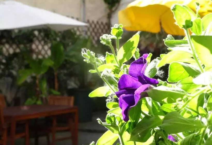 Aamiaismajoitus (B&B) Gästehaus Auf Der Kunstmeile