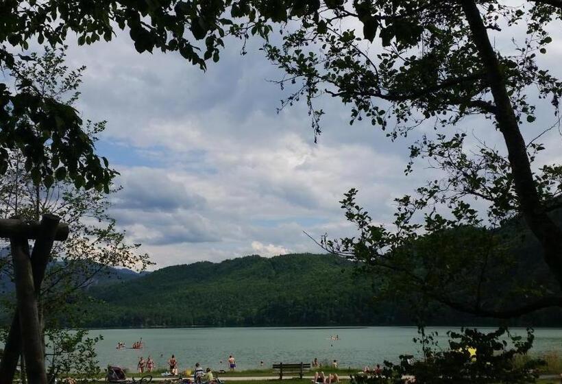 ベッドアンドブレックファースト Pension Weißer Hirsch