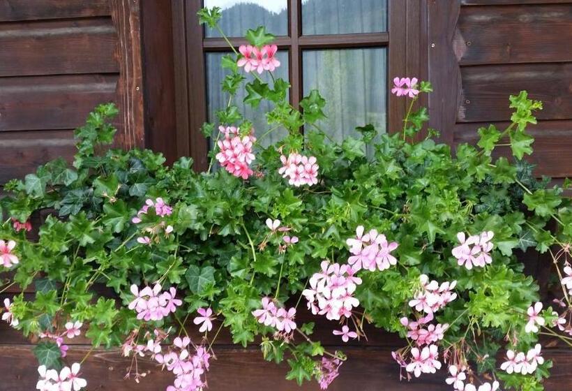 ベッドアンドブレックファースト Pension Weißer Hirsch