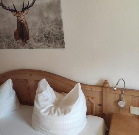 ベッドアンドブレックファースト Pension Weißer Hirsch