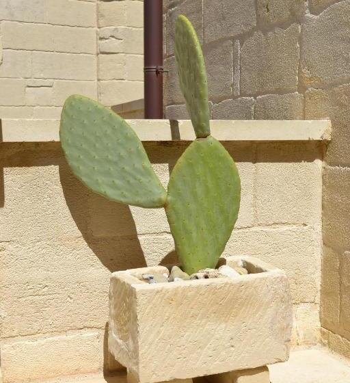 펜션 Corte Kalìnora