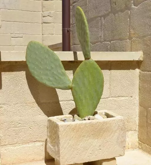 Majatalo Corte Kalìnora