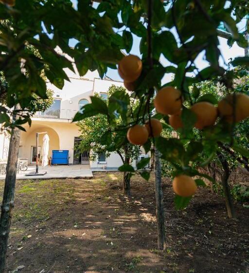 פנסיון Pane E Marmellata