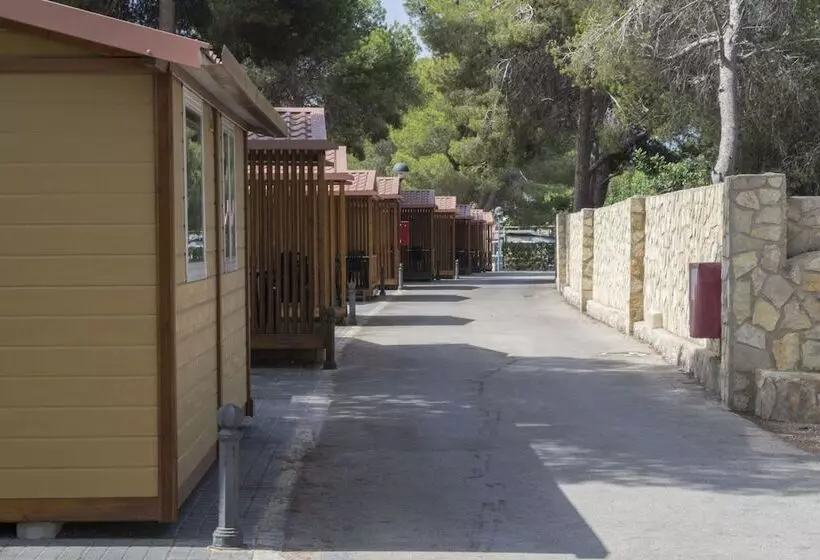 호스텔 Camping Arena Blanca