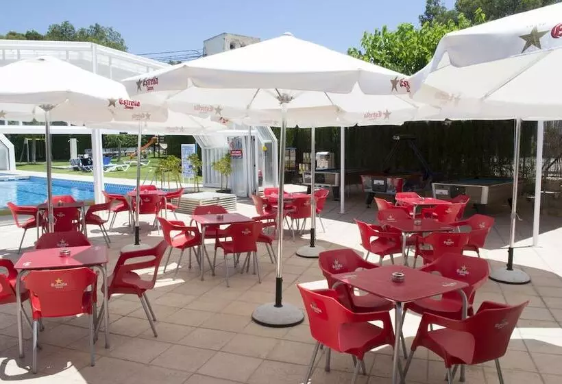 호스텔 Camping Arena Blanca