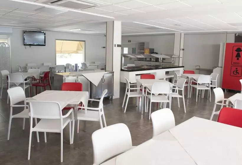 호스텔 Camping Arena Blanca