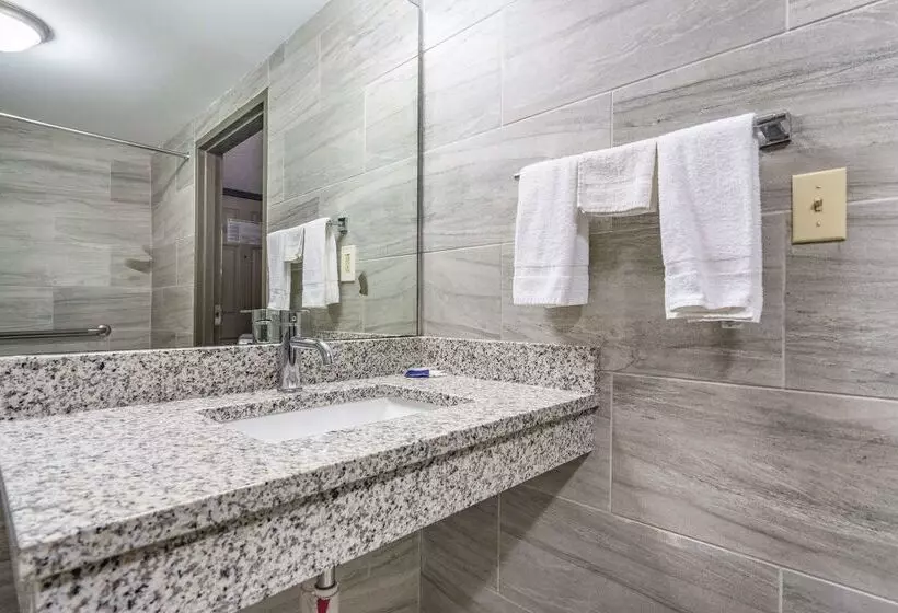 酒店 Americas Best Value Inn Chattanooga N