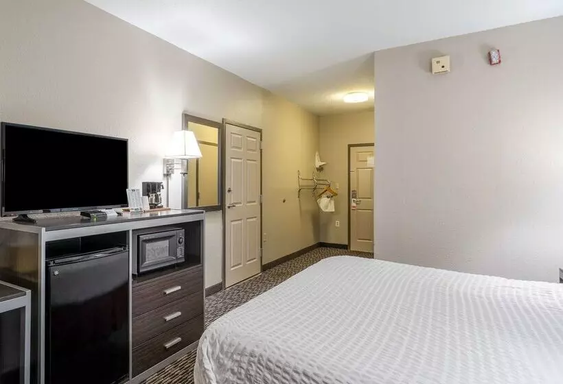 酒店 Americas Best Value Inn Chattanooga N