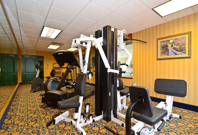 فندق Best Western Executive Inn & Suites