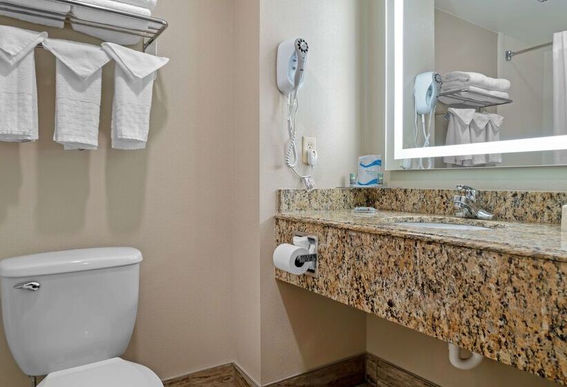 فندق Best Western Executive Inn & Suites