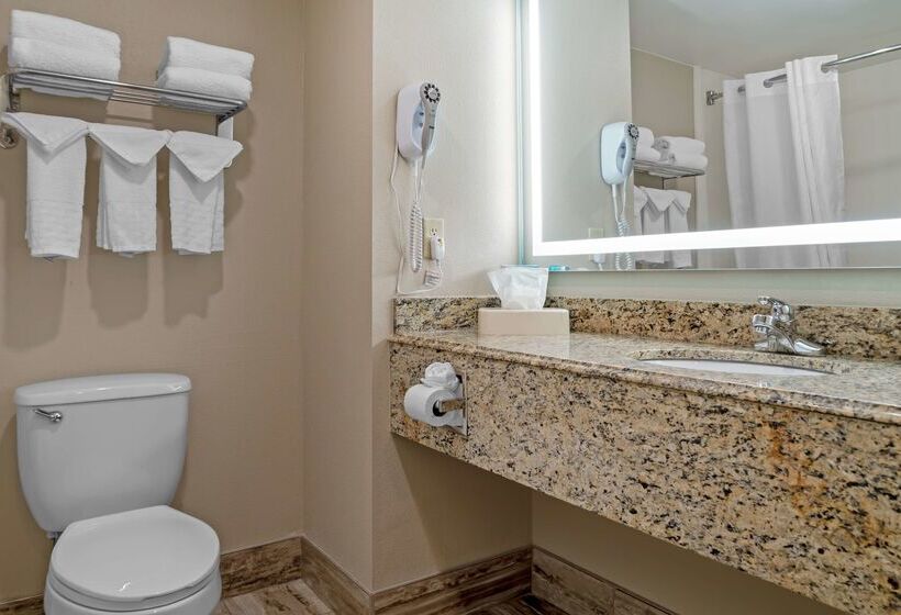 فندق Best Western Executive Inn & Suites