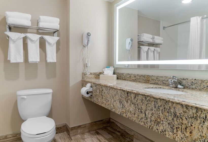 فندق Best Western Executive Inn & Suites