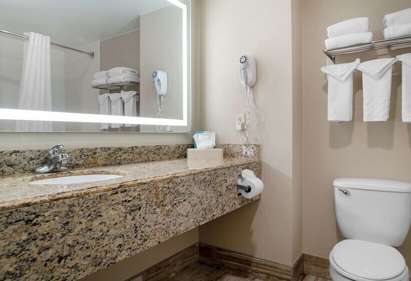 فندق Best Western Executive Inn & Suites