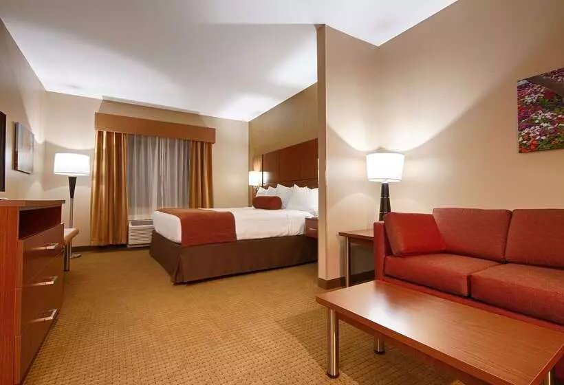 فندق Best Western Plus Finger Lakes Inn & Suites