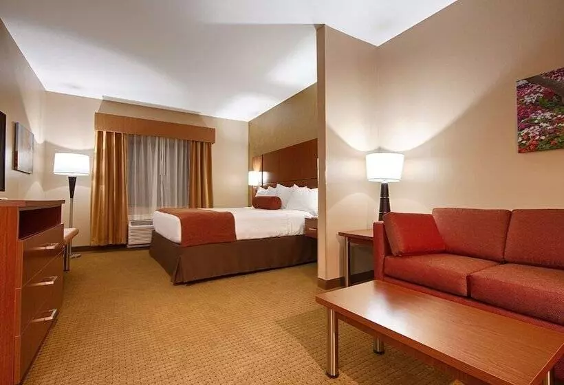 فندق Best Western Plus Finger Lakes Inn & Suites