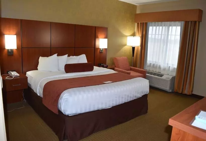 فندق Best Western Plus Finger Lakes Inn & Suites
