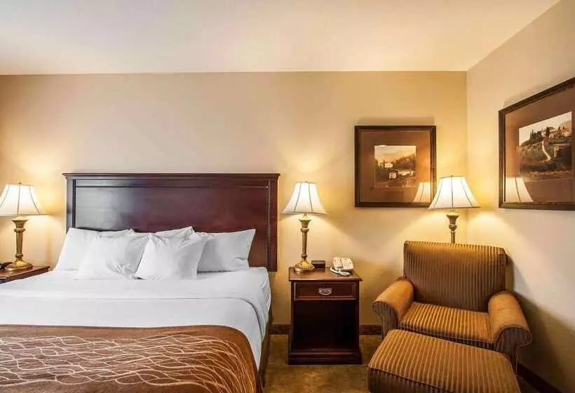 酒店 Comfort Inn & Suites Mcminnville Wine Country