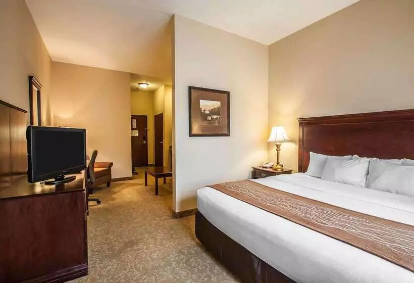酒店 Comfort Inn & Suites Mcminnville Wine Country