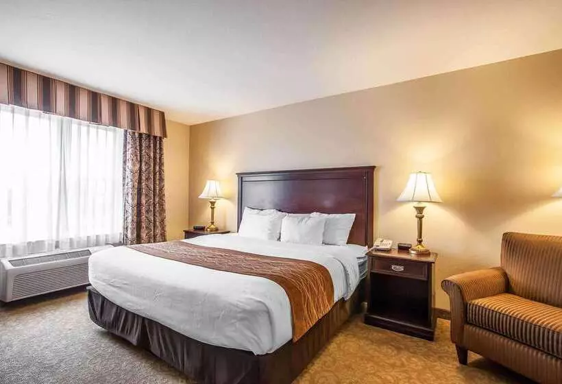 酒店 Comfort Inn & Suites Mcminnville Wine Country