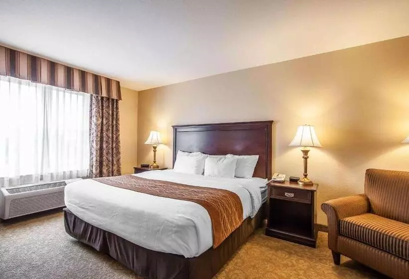 酒店 Comfort Inn & Suites Mcminnville Wine Country