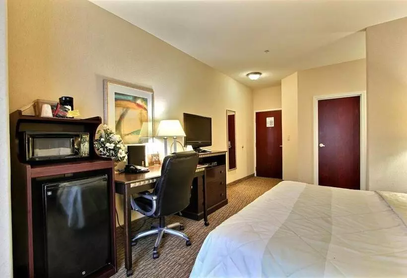 Отель Magnolia Inn And Suites Pooler