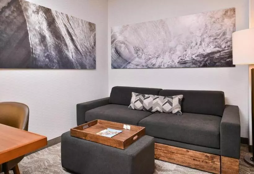 Отель Springhill Suites Irvine John Wayne Airport/orange County