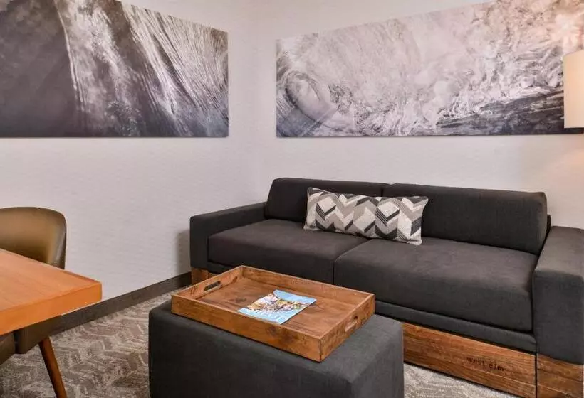 Отель Springhill Suites Irvine John Wayne Airport/orange County